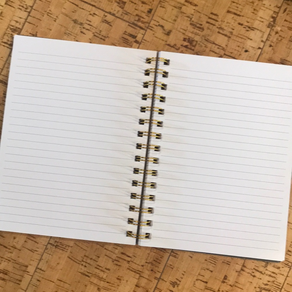 Travel Journal 🌎 - Picture 2 of 4